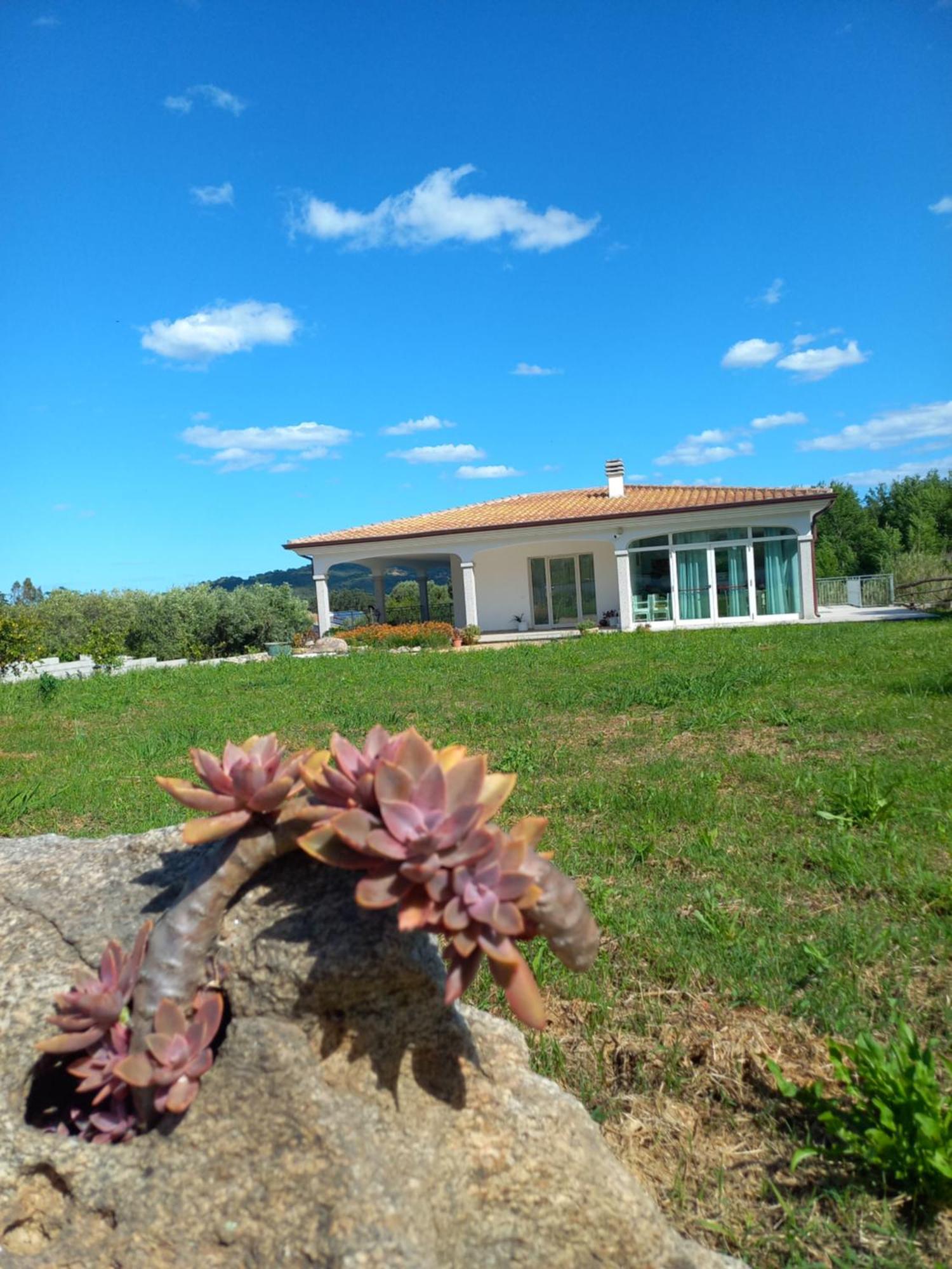 Agriturismo B&B Mares E Montes De Marrante Siniscola Εξωτερικό φωτογραφία