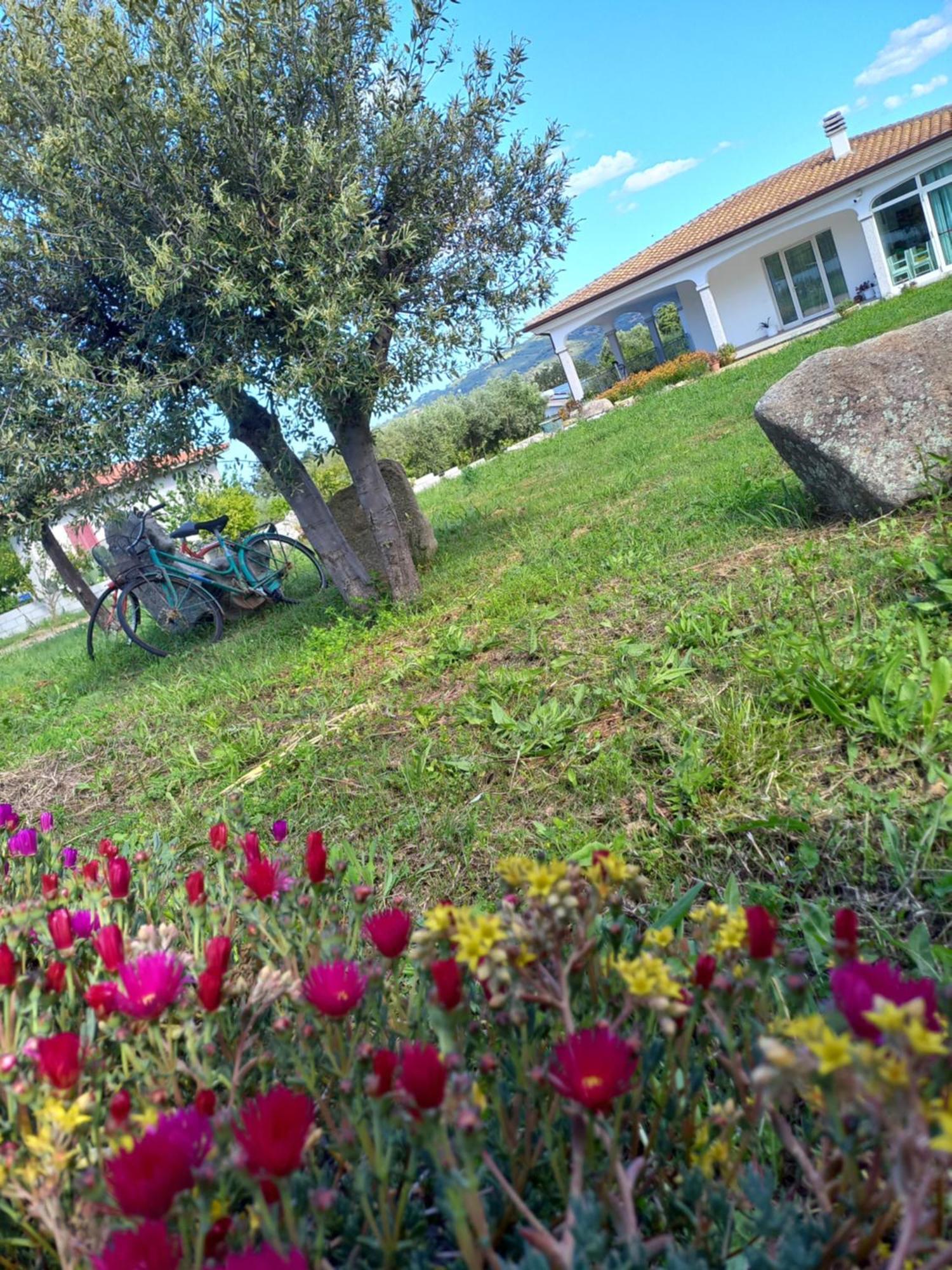 Agriturismo B&B Mares E Montes De Marrante Siniscola Εξωτερικό φωτογραφία